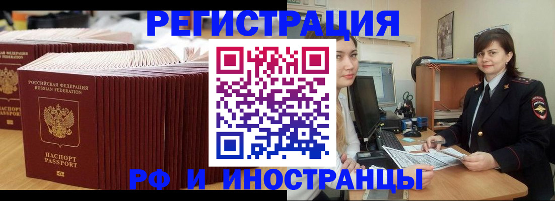 прописка 2025 в Кольчугино